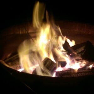 Meet your Posher, Scott